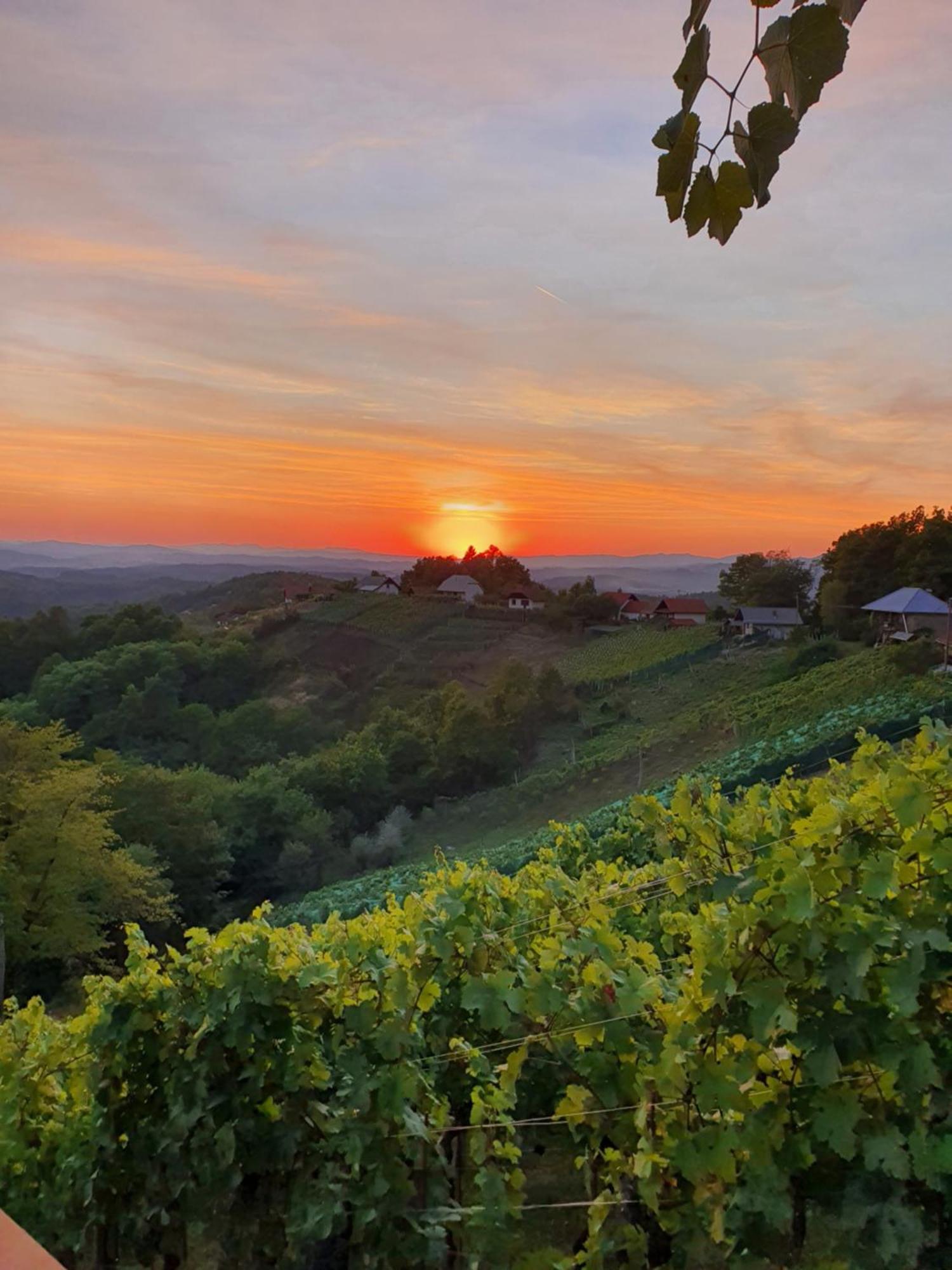 Vineyard Cottage Soncni Gric Mirna Exteriör bild