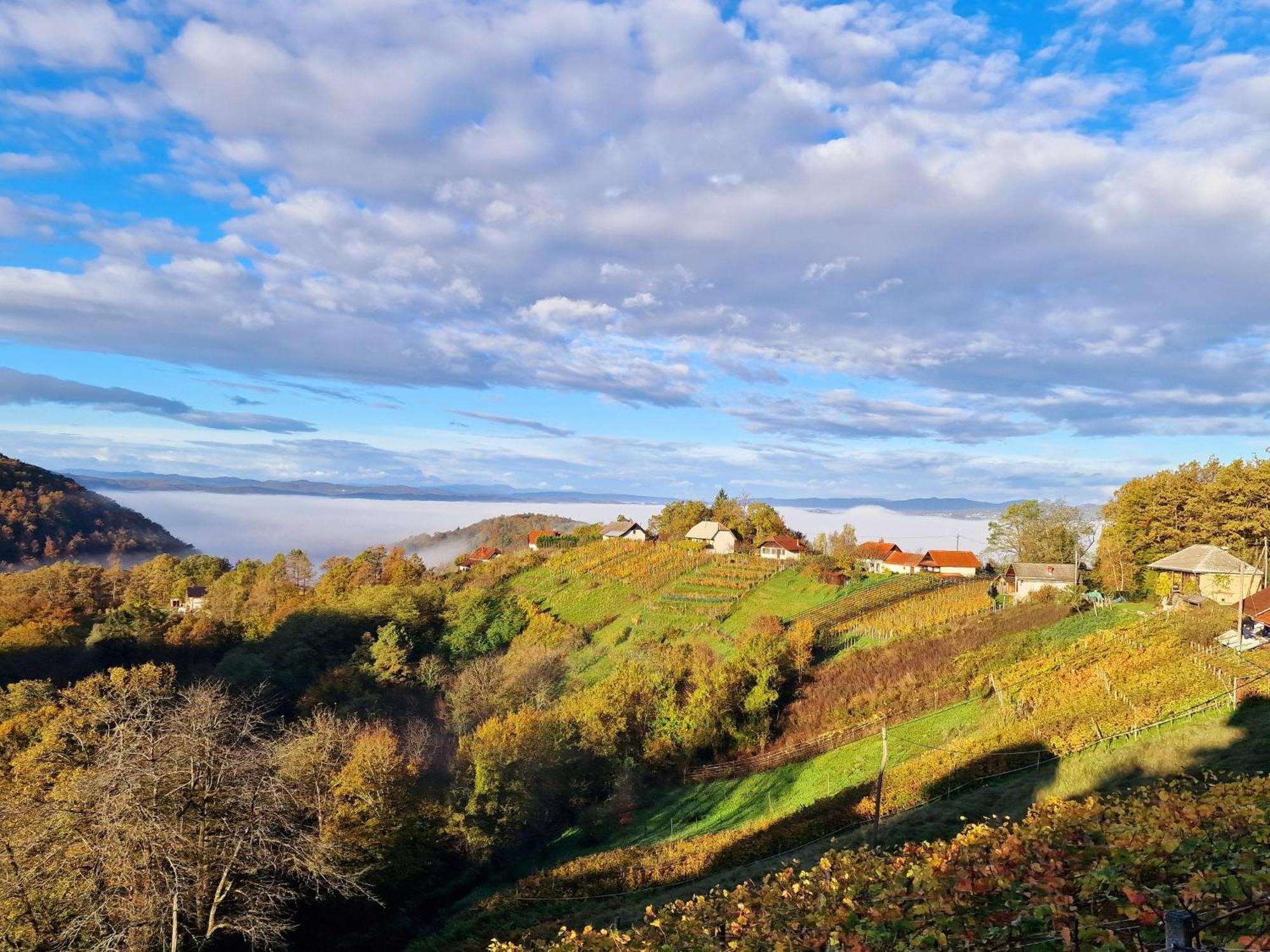 Vineyard Cottage Soncni Gric Mirna Exteriör bild